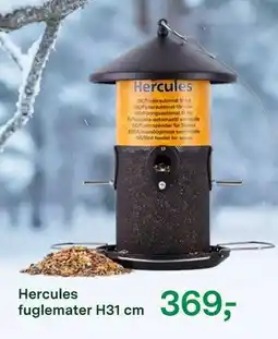 Felleskjøpet Hercules fuglemater H31 cm tilbud