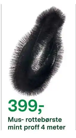 Felleskjøpet Mus- rottebørste mint proff 4 meter tilbud