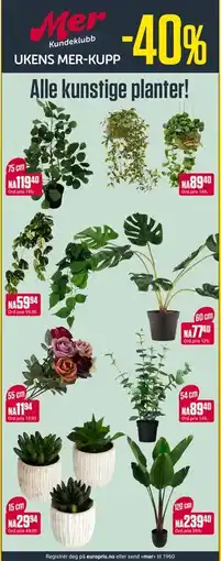 Europris Alle kunstige planter!, App-pris tilbud