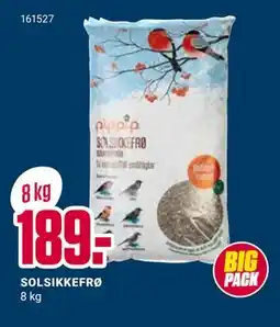 Europris SOLSIKKEFRØ tilbud