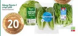 Jacobs Isberg-/hjerte-/ crispi salat tilbud