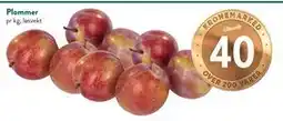 Jacobs Plommer tilbud