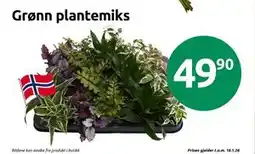 Joker Grønn plantemiks tilbud