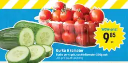 Eurocash Gurka & tomater tilbud
