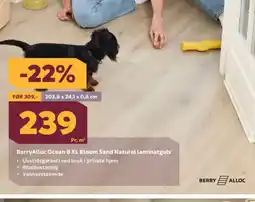 Megaflis BerryAlloc Ocean 8 XL Bloom Sand Natural laminatgulv tilbud