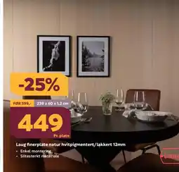 Megaflis Laug finerplate natur hvitpigmentert/lakkert 12mm Slitesterkt materiale tilbud