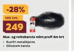Megaflis Mus- og rottebørste mint proff 4-t tilbud