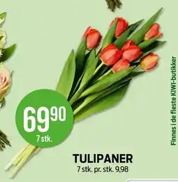 Kiwi TULIPANER tilbud