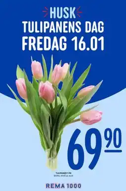 Rema 1000 TULIPANER 7 PK tilbud