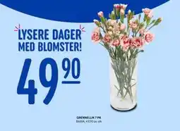 Rema 1000 GRENNELLIK 7 PK tilbud