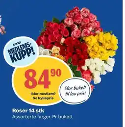 Coop Obs Roser 14 stk, Medlemspris tilbud