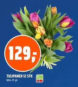 Coop Obs TULIPANER 12 STK tilbud