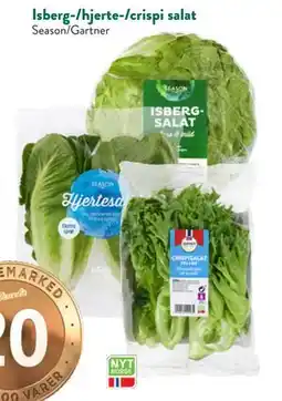 Jacobs Isberg-/hjerte-/crispi salat tilbud