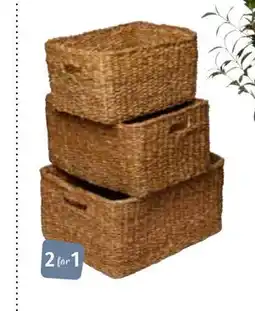 Nille Kurvsett, 3pk tilbud