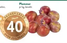 Jacobs Plommer tilbud