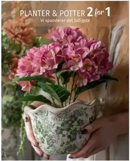 Nille PLANTER & POTTER tilbud