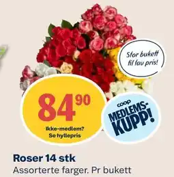 Coop Mega Roser 14 stk, Medlemspris tilbud
