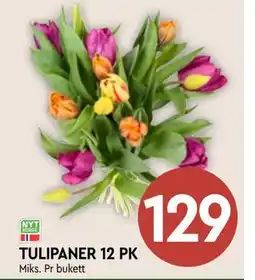 Coop Mega TULIPANER 12 PK tilbud