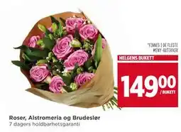 Meny Roser, Alstromeria og Brudeslør tilbud