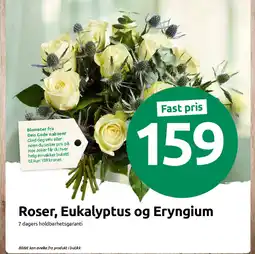 Nærbutikken Roser, Eukalyptus og Eryngium tilbud