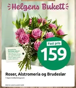 Joker Roser, Alstromeria og Brudeslør tilbud