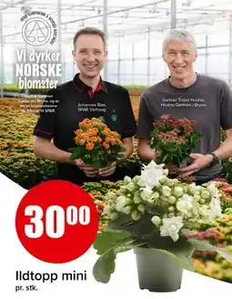 Spar Ildtopp mini tilbud