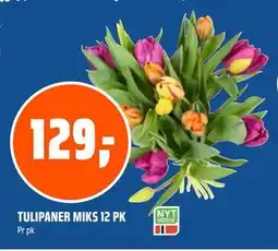 Coop Obs TULIPANER MIKS 12 PK tilbud