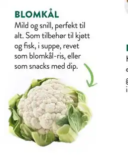 Jacobs BLOMKÅL tilbud
