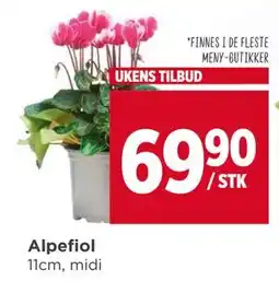 Meny Alpefiol tilbud