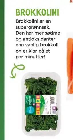 Meny brokkolini tilbud