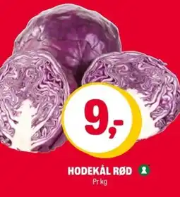 Coop Extra Hodekål rød tilbud