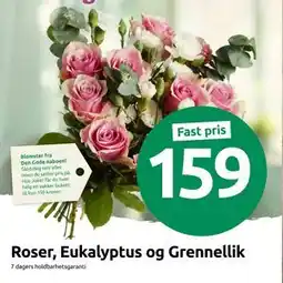 Joker Roser, Eukalyptus og Grennellik tilbud