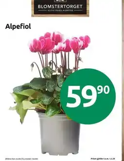 Joker Alpefiol tilbud