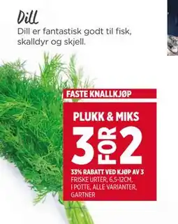 Meny Dill tilbud