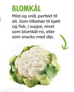 Meny blomkål tilbud
