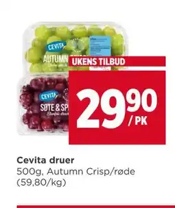Meny Cevita druer tilbud