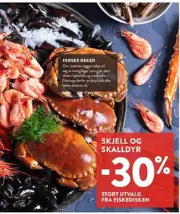 Jacobs SKJELL OG SKALLDYR tilbud