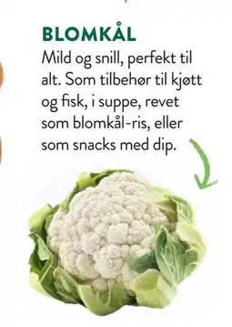 Jacobs BLOMKÅL tilbud