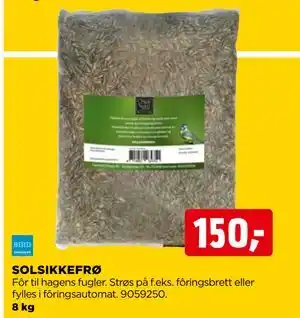 SOLSIKKEFRØ