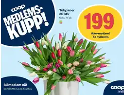 Coop Extra Tulipaner tilbud