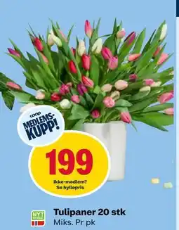 Coop Obs Tulipaner 20 stk, Medlemspris tilbud