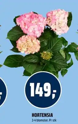 Coop Obs HORTENSIA tilbud