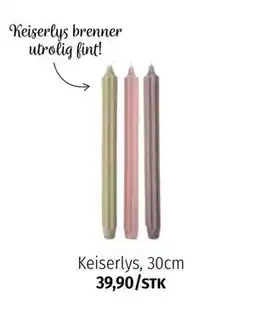 Nille Keiserlys, 30cm tilbud