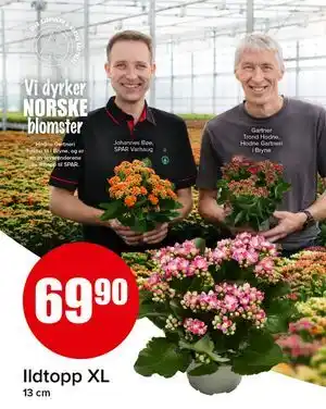 Spar Ildtopp XL tilbud