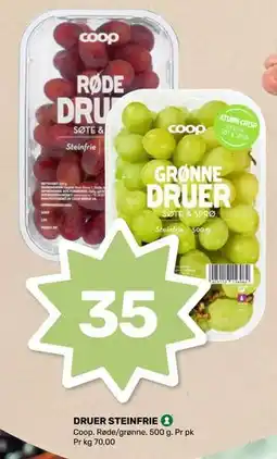 Matkroken DRUER STEINFRIE tilbud