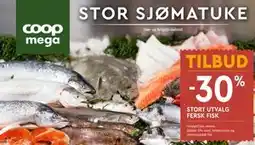 Coop Mega STOR SJØMATUKE FERSK FISK tilbud