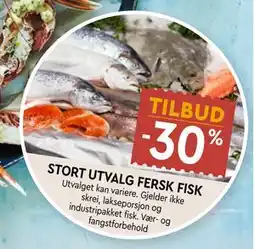 Coop Mega STORT UTVALG FERSK FISK tilbud
