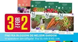 Europris FRØ FRA BLOSSOM OG NELSON GARDEN! tilbud