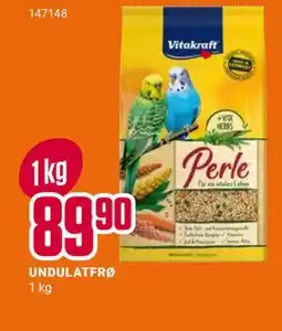 Europris UNDULATFRØ tilbud