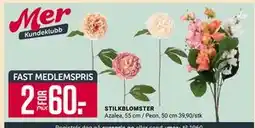 Europris STILKBLOMSTER, Medlemspris tilbud